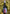 Barrel Fermented Chardonnay