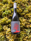 Severn River Grüner Veltliner