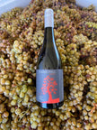 Severn River Semillon