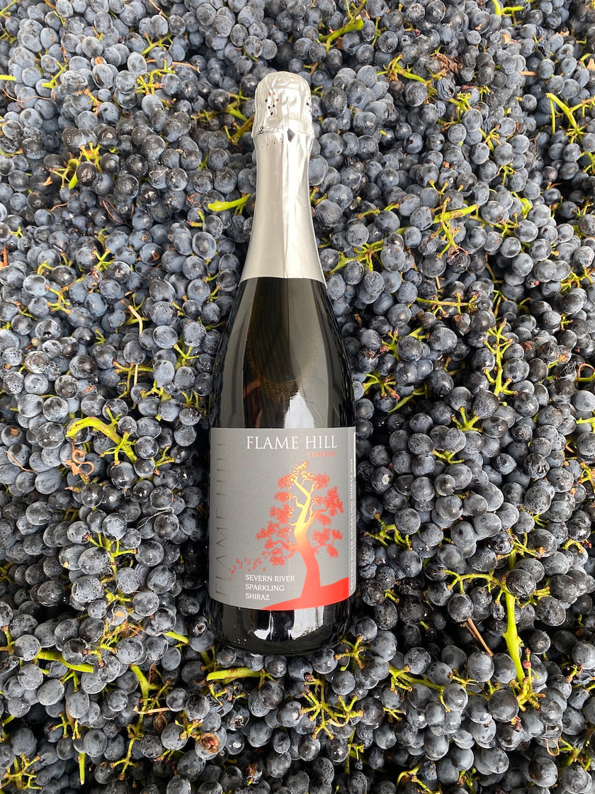 Severn River Sparkling Shiraz
