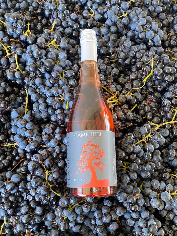 Bambino Rosé
