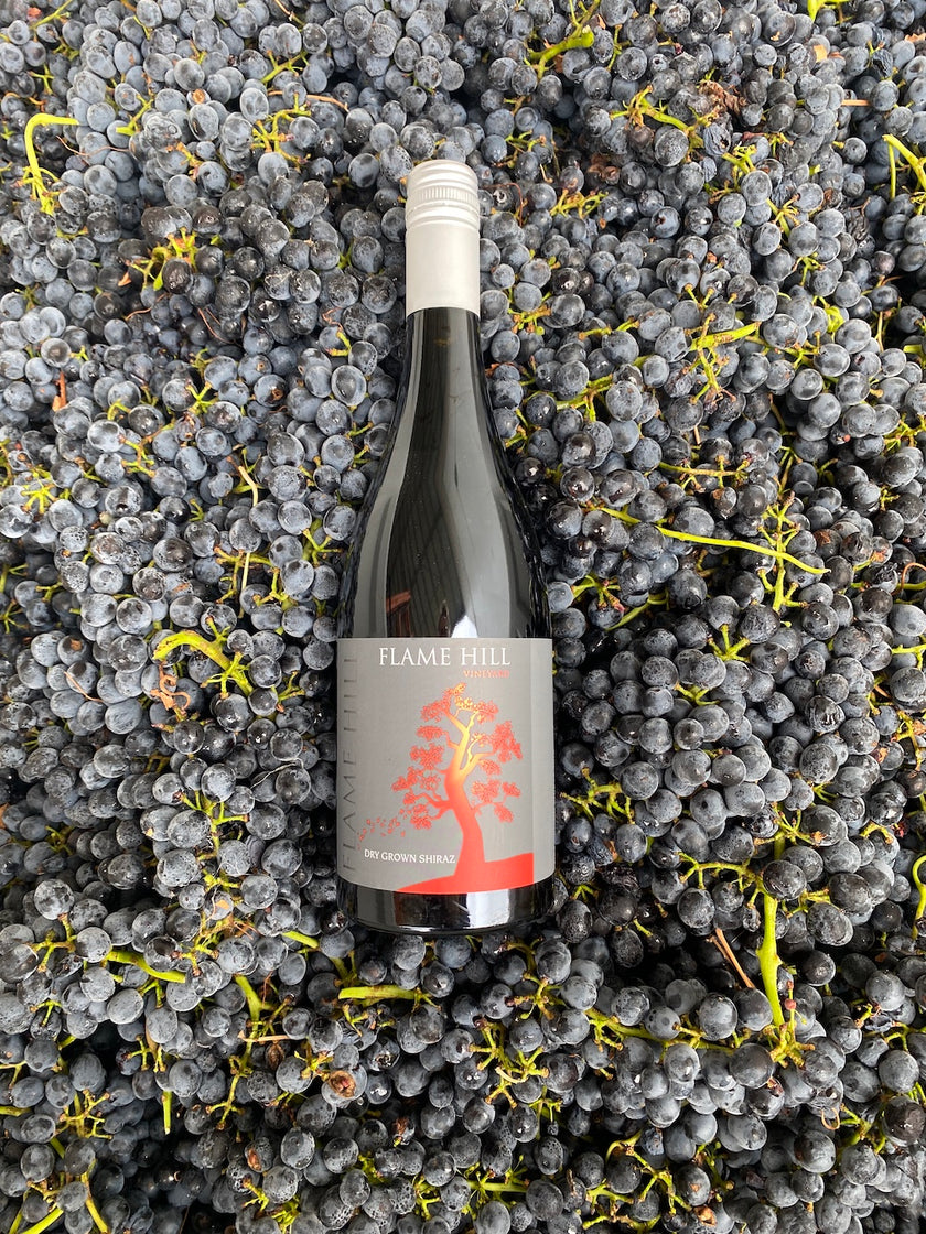 Dry Grown Shiraz