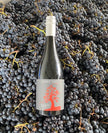 Traprock Merlot
