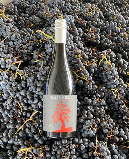 Traprock Merlot