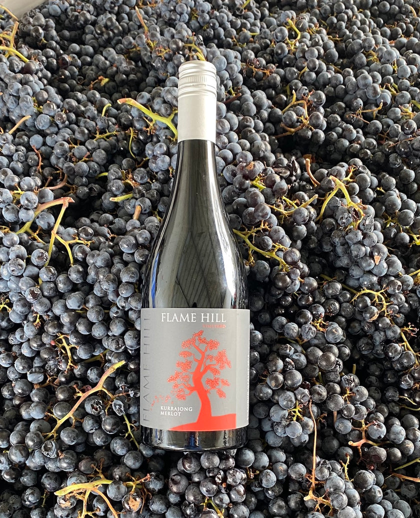 Traprock Merlot
