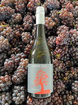 Kurrajong Pinot Gris