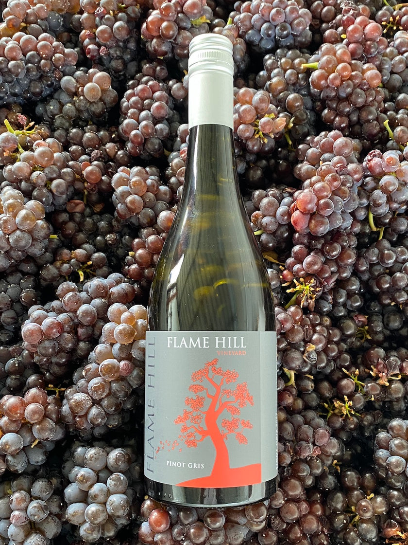 Kurrajong Pinot Gris