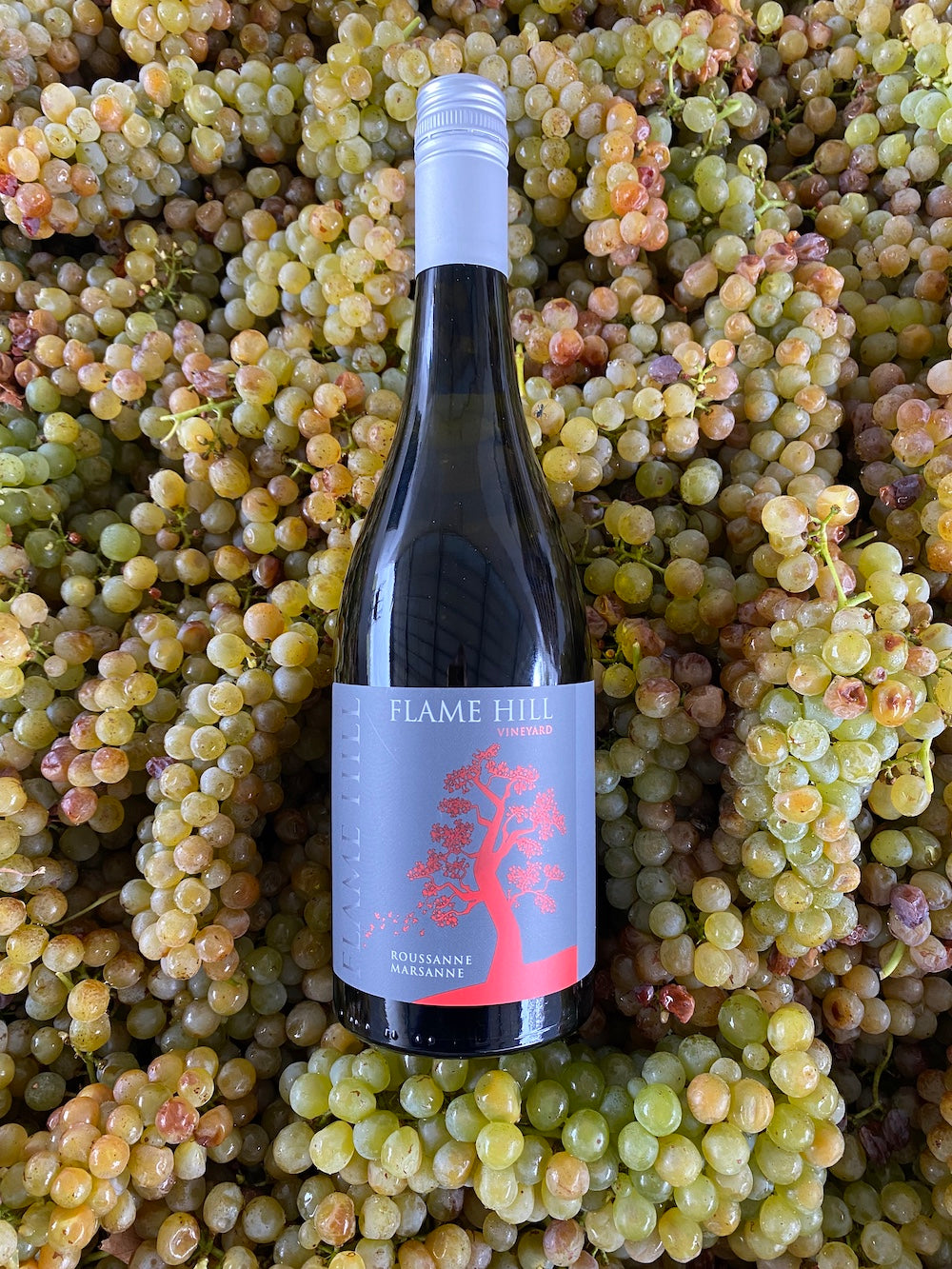 Roussanne Marsanne