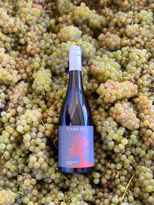 Montville Sauvignon Blanc