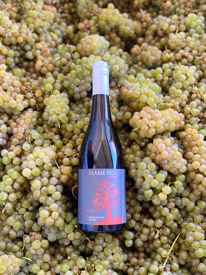 Sauvignon Blanc