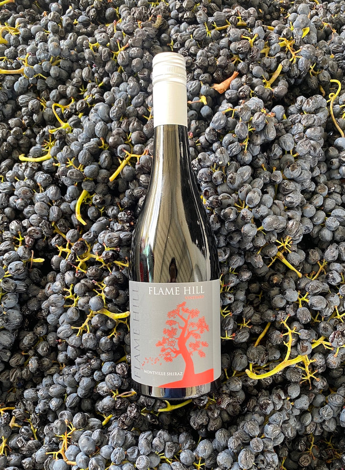 Traprock Shiraz