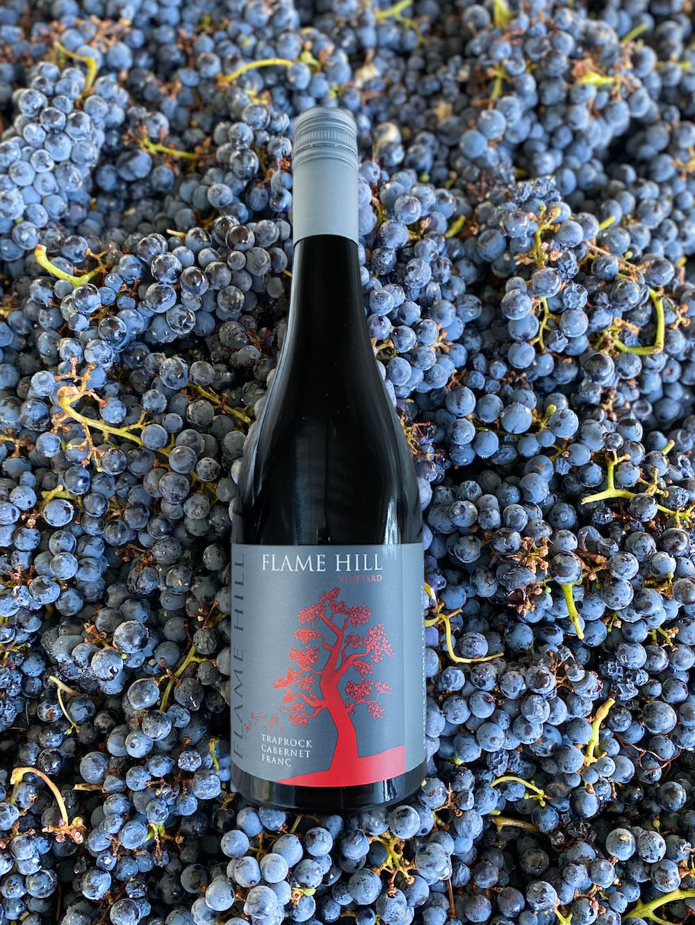 Traprock Cabernet Franc