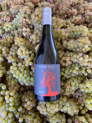 Montville Viognier